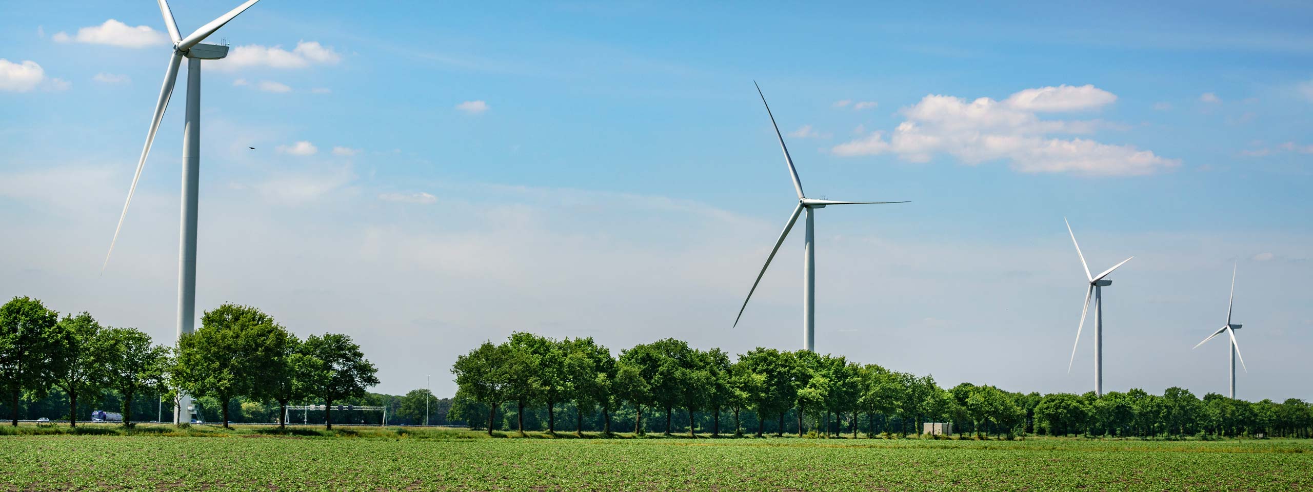 A landscape featuring several wind turbines surrounded by green trees under a clear blue sky.