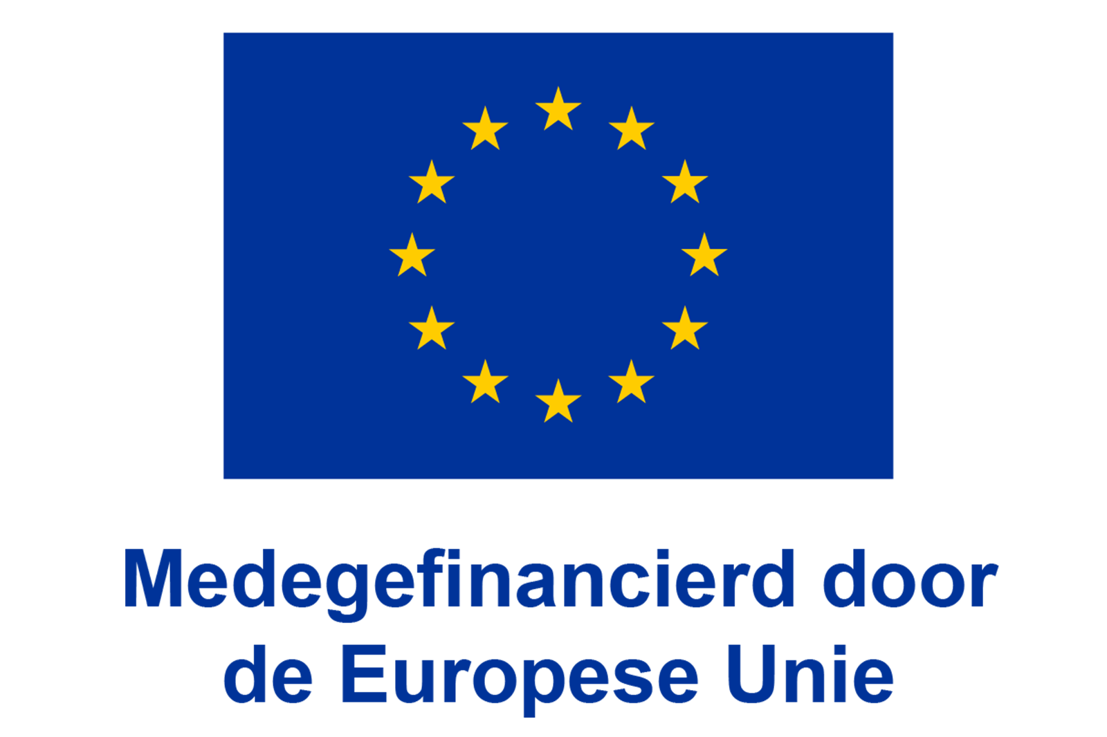 Vlag van de Europese Unie met een blauwe achtergrond en een cirkel van twaalf gele sterren.