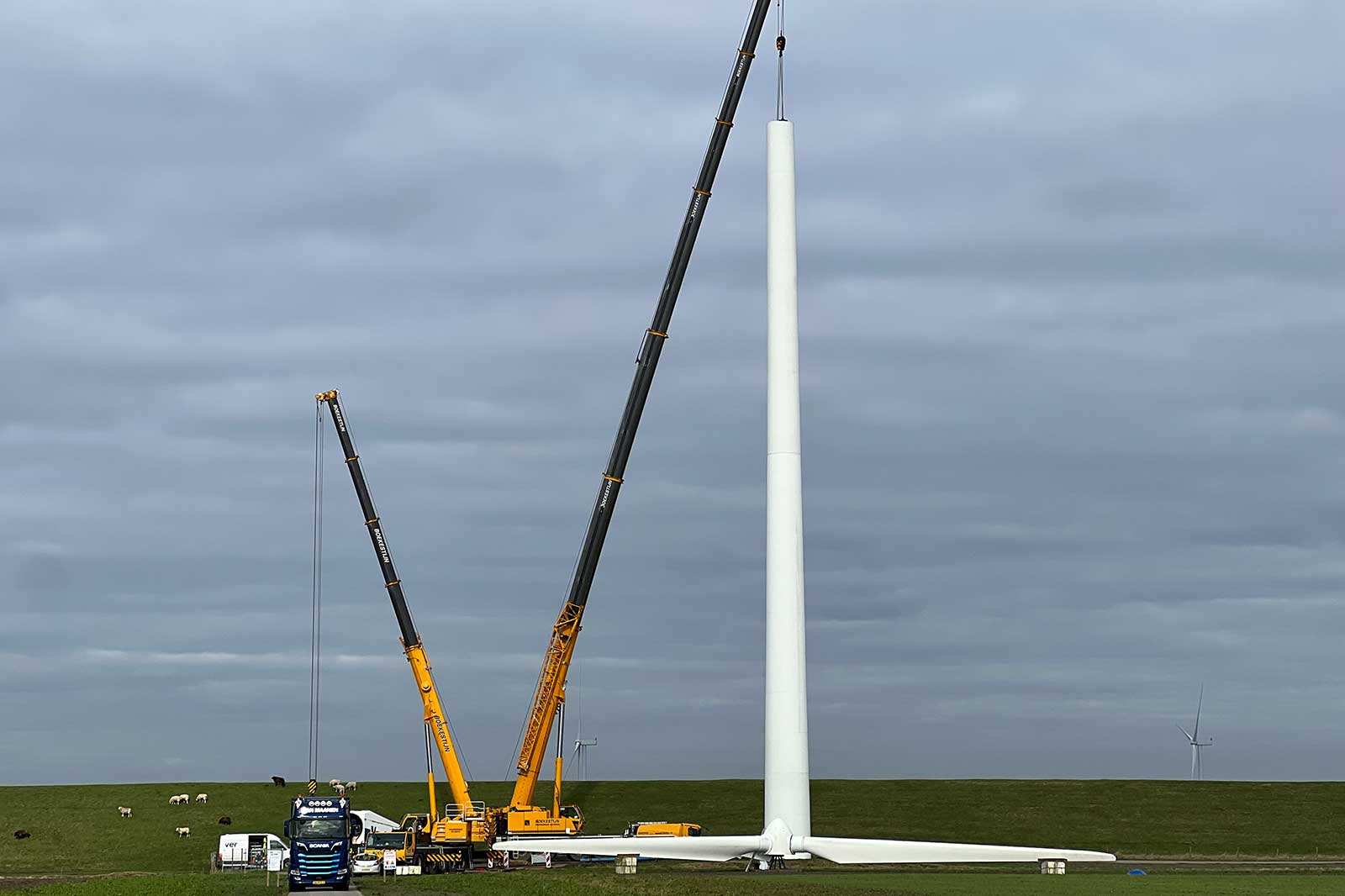 Twee kranen tillen een groot windturbineonderdeel op een grasveld onder een bewolkte lucht, met koeien in de buurt.