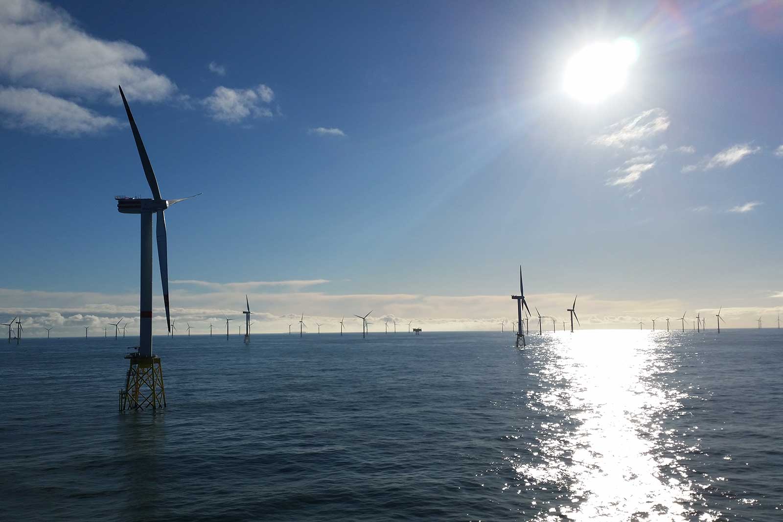 Enkele windturbines staan in het water onder een heldere lucht, terwijl de zon fel schijnt.