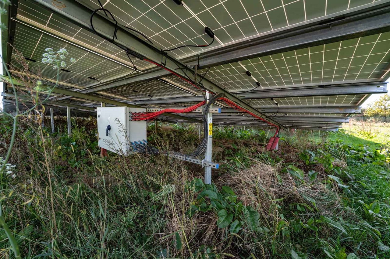 Een zicht onder zonnepanelen met een koppeldoos en verwarde bedrading, omringd door hoog gras en planten.