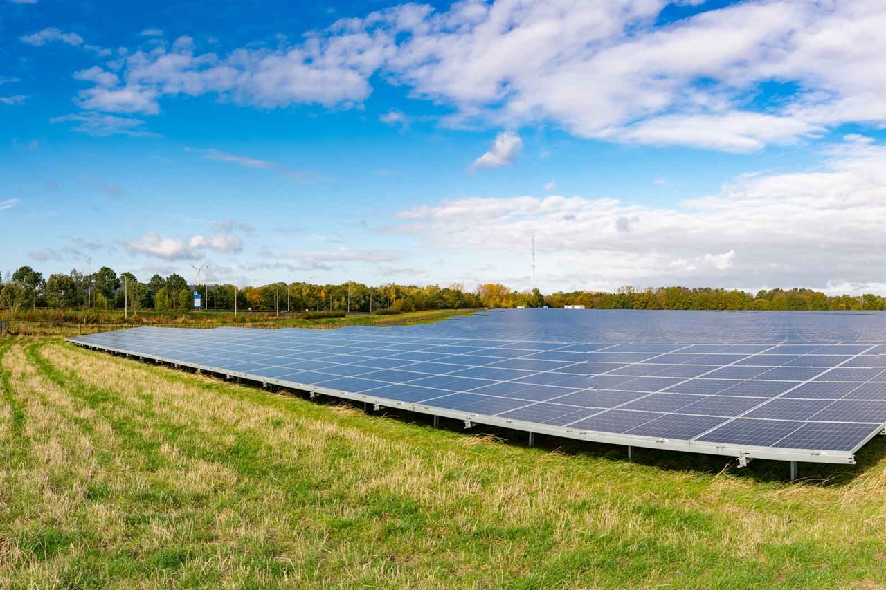 Een zonnepanelenveld onder een heldere lucht, omringd door groen gras en bomen.