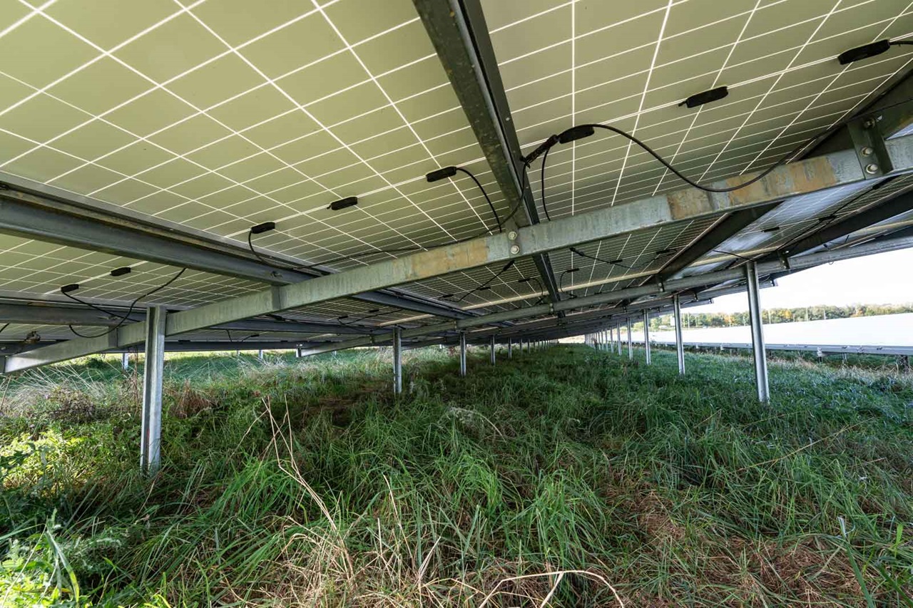 Zicht op zonnepanelen van onderaf, met metalen steunen en gras dat eronder groeit.