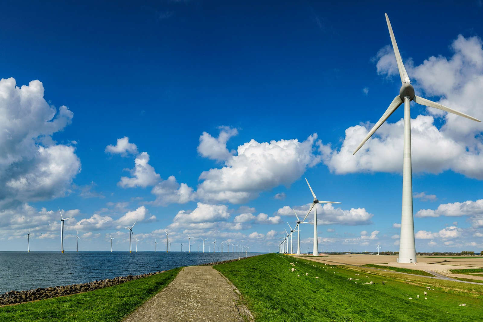 A landscape featuring wind turbines by the water under a clear blue sky with white clouds.