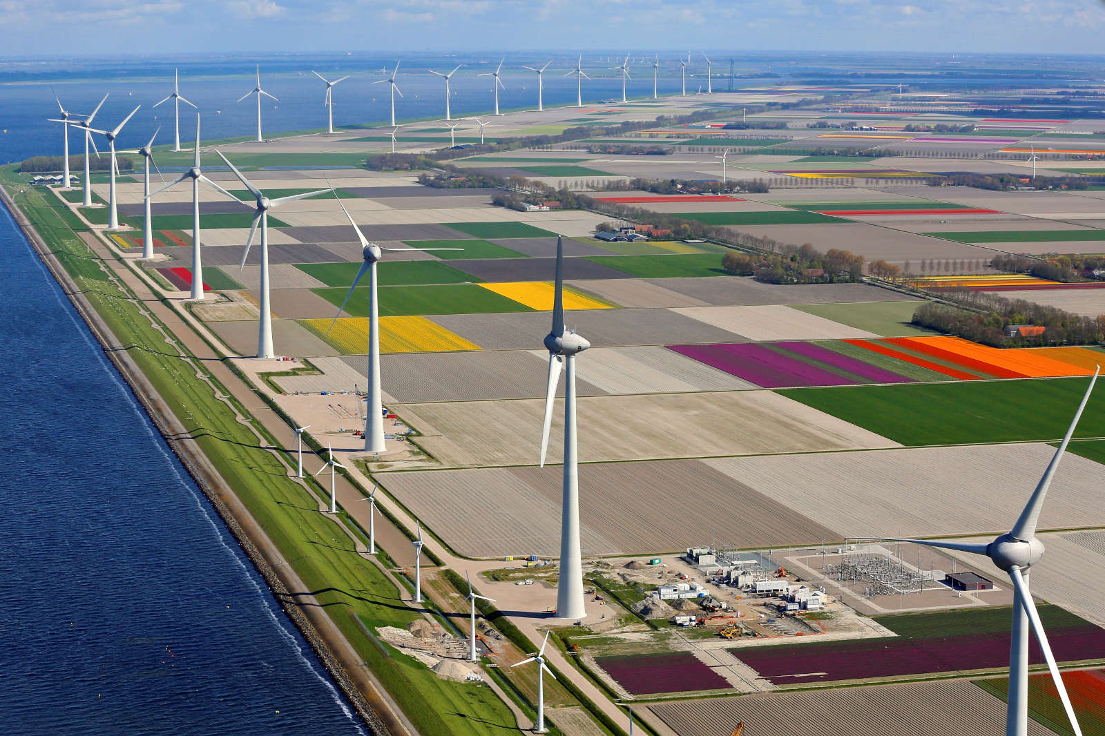 Aerial view of wind turbines adjacent to vibrant agricultural fields in various colours, beside a calm body of water.