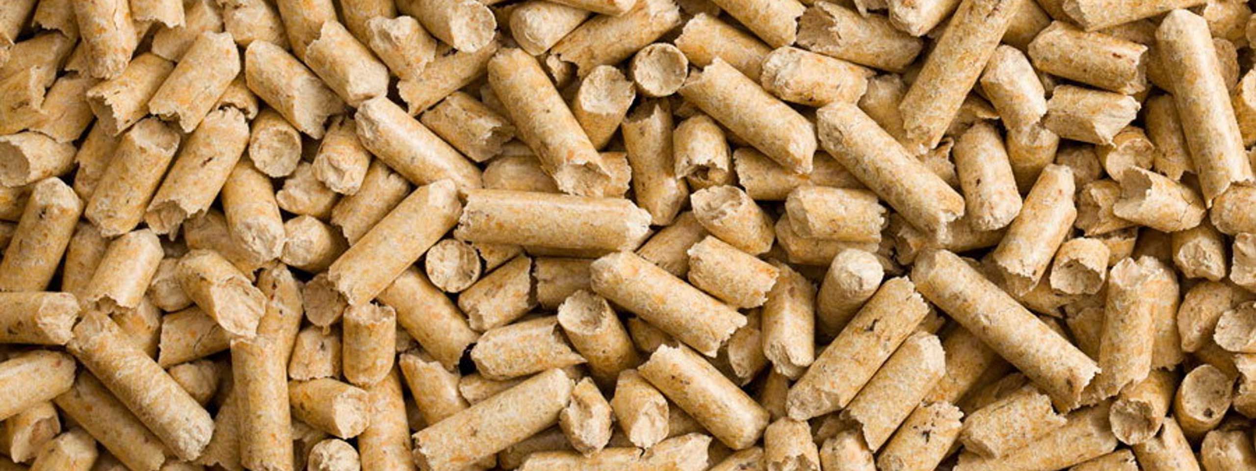 A close-up view of wood pellets scattered on a surface, showcasing their cylindrical shape and natural brown colour.