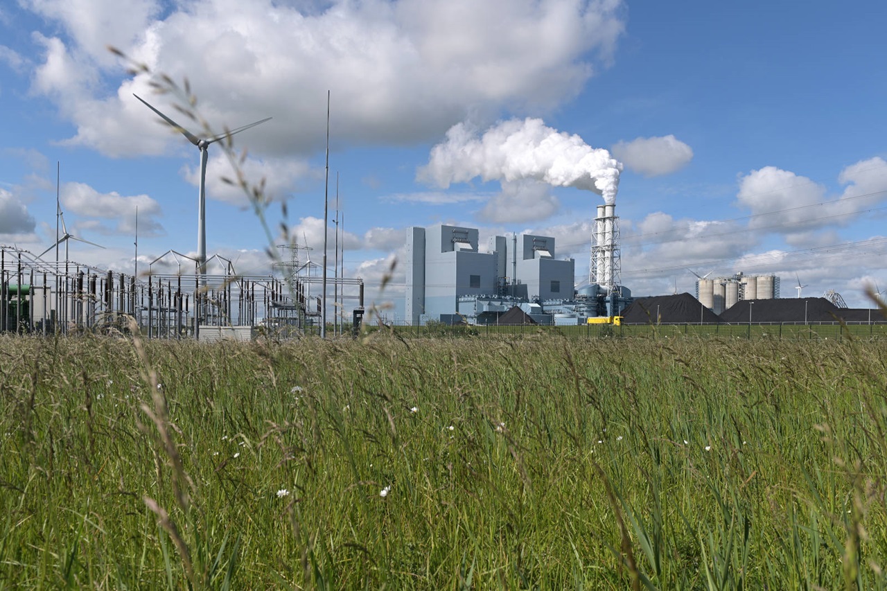 In the foreground, tall grass in a green field. In the background are wind turbines and a power plant emitting smoke.