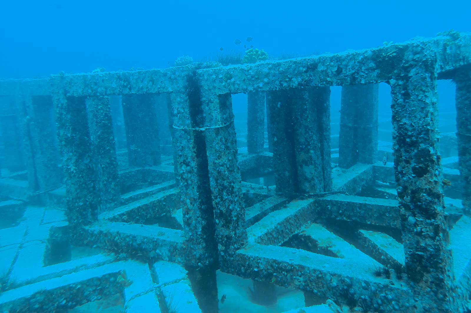 Onderwaterzicht op een betonnen structuur met rechthoekige pilaren, bedekt met zeeleven, omringd door helder blauw water.