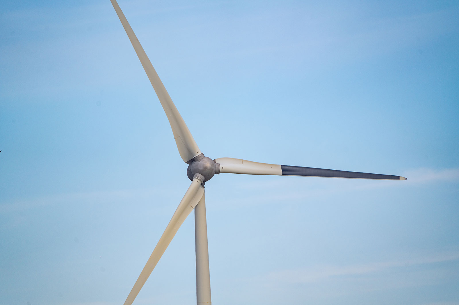 Ecologie - Ontdek offshore wind | RWE in de Benelux