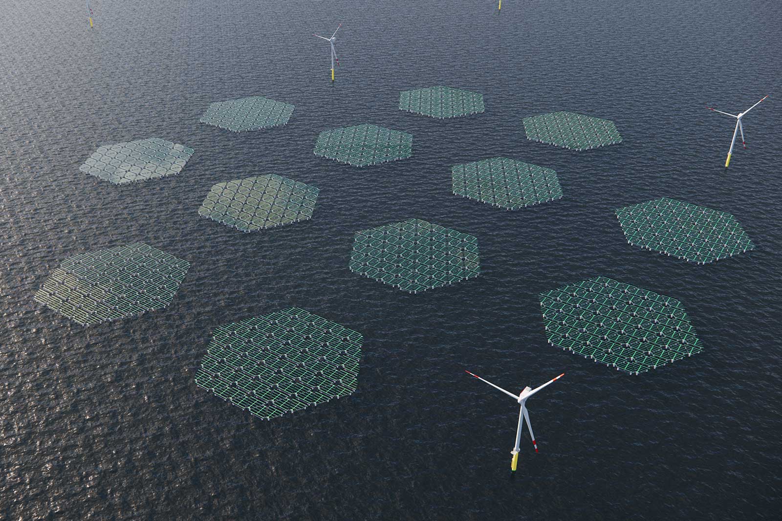 Een luchtfoto van hexagonale drijvende zonnepanelen in de oceaan, omringd door windturbines.