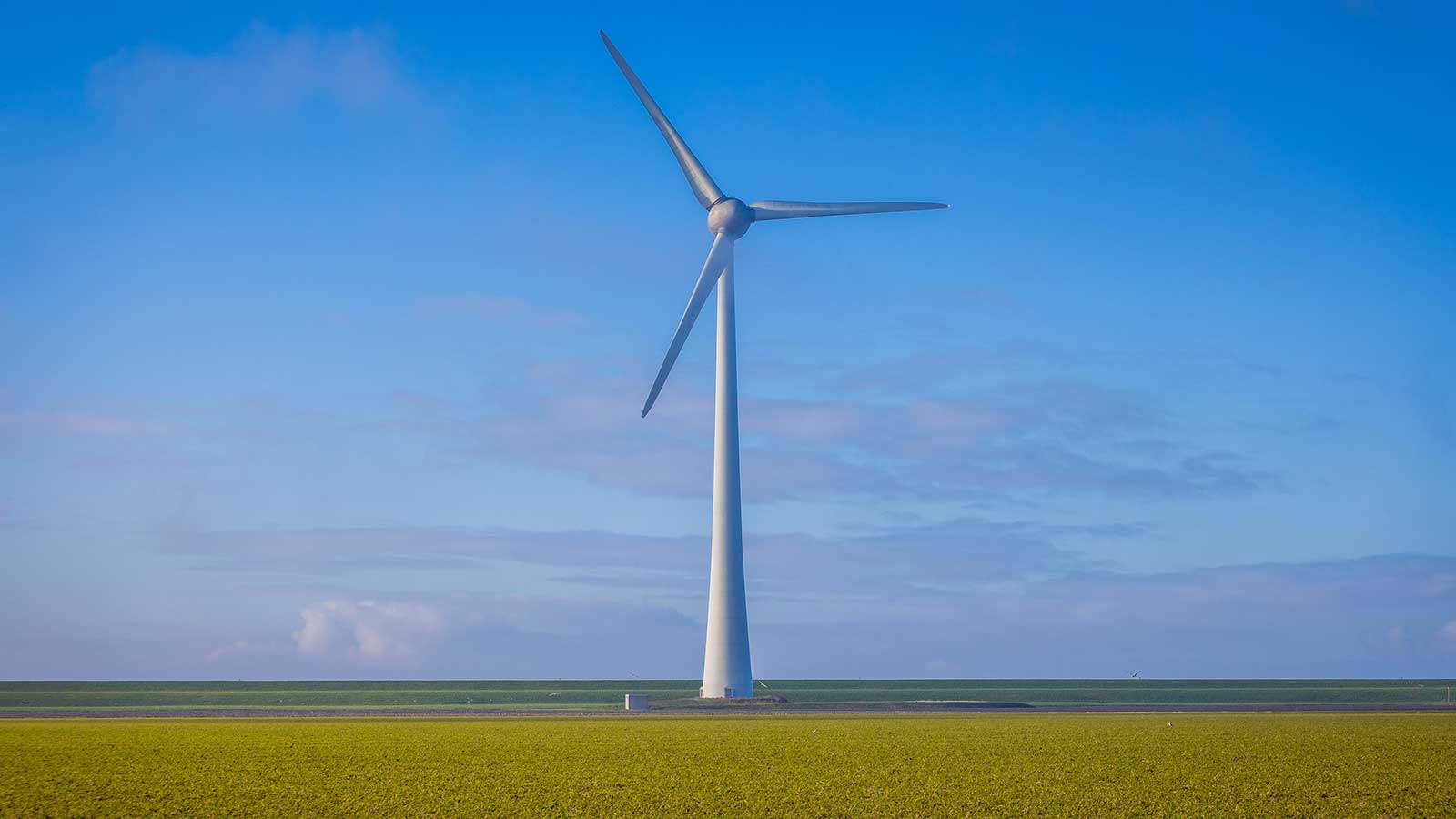 Een hoge windturbine staat prominent tegen een heldere blauwe lucht en een grasveld, wat hernieuwbare energie symboliseert.