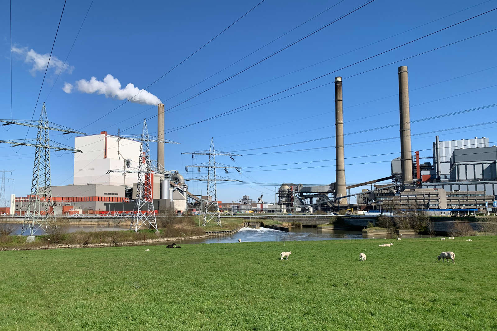 Een fabriek met hoge schoorstenen die rook uitstoten naast een rivier, omringd door groene velden met grazende schapen op een heldere dag.